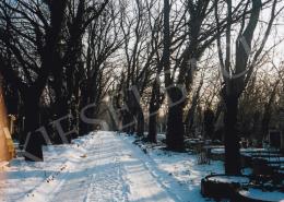  Szín, György - Cemetery 8.