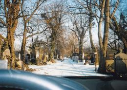  Szín, György - Cemetery 9.