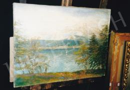  Mednyánszky, László - Tarn with a Sailing Boat; 45,5x60 cm; oil on canvas; Signed lower right: Mednyánszky; Photo: Kieselbach Tamás