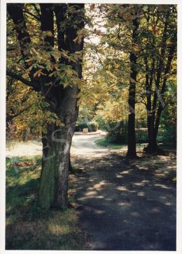 Rippl-Rónai, József - Rippl-Rónai's Memorial House and Visitor Centre's Collection in Kaposvár, Róma-hegy, Photo: Kieselbach, Tamás