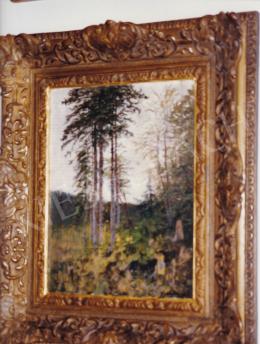  Mednyánszky, László - By the Forest, oil on board, 30x21,5 cm, Signed lower right:  Mednyánszky; Photo: Tamás Kieselbach