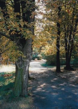 Rippl-Rónai, József - A Rippl-Rónai villa külső és belső enteriőr képei, Photo: Tamás Kieselbach