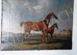  Konrád, Ignác - Portrait of a Horses, oil on canvas, Photo: Tamás Kieselbach
