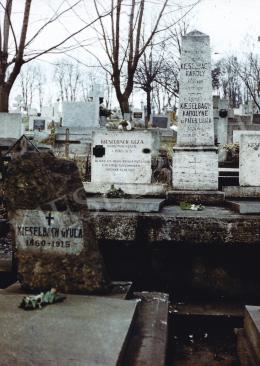  Kieselbach Géza - A Kieselbach család sírhelye a kassai temetőben, Kieselbach Géza festő lányával, Fotó: Kieselbach Tamás