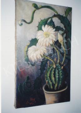  Sikorska Zsolnay Júlia - Csendélet kaktusszal, 1937; olaj, vászon; Jelezve balra lent: SZSJ1937; Fotó: Kieselbach Tamás