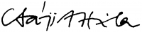 Csáji, Attila Signature