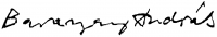  Baranyay, András (Baranyai András) Signature