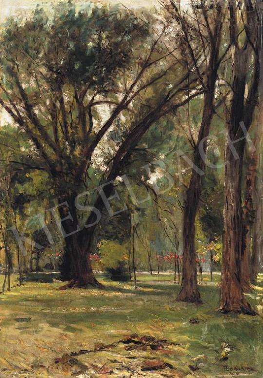  Berkes, Antal - City Park, 1903 | 33rd Auction auction / 25 Lot