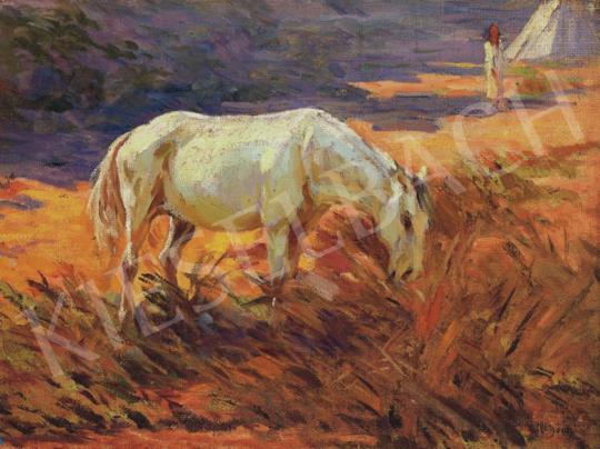  Czigány, Dezső - Horse by the Water | 34th Auction auction / 129 Lot