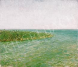 Szinyei Merse, Pál - The Edge of Lake Balaton (Buffaloes' Bath) 