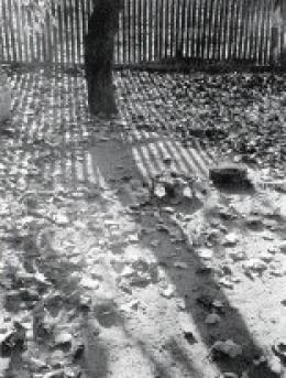 Kaczúr, Pál - Leaves are Falling, 1937 