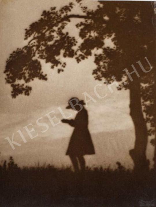 Kerny István - A szorgalmas, 1919 | Fotóaukció 2007 aukció / 34 tétel
