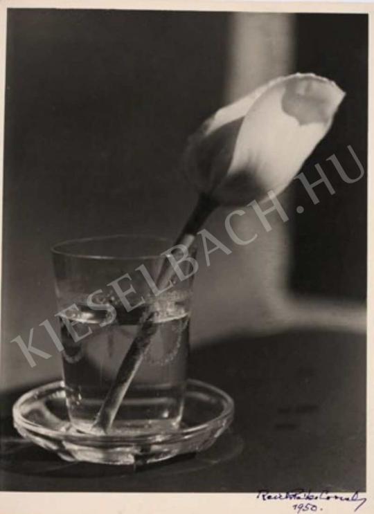 Reich Péter Cornél - Virágcsendélet, 1950 | Fotóaukció 2007 aukció / 45 tétel
