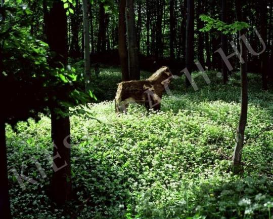 Gyenis Tibor - Vidéki kirándulás, 2004 | Fotóaukció 2007 aukció / 99 tétel