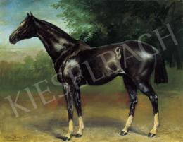 Blaas, Julius von - Racing Horse 