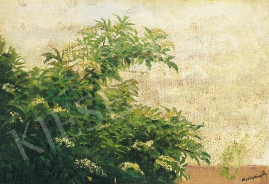 Mednyánszky, László - Blossoming Elderberry Bush | 36th Auction auction / 137 Lot