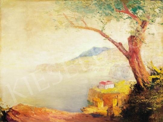  Háry, Gyula - Seaside by Naples (Sorrento) | 37th Auction auction / 196 Lot