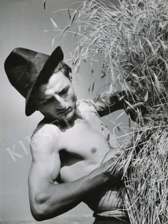 Szendrő István - Aratás, 1938 körül | Fotóaukció 2008 aukció / 8 tétel