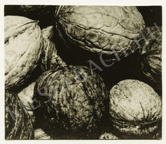 Dohnány, Milos - Walnuts, around 1932 | Auction of Photos auction / 20 Lot
