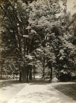  Balogh, Rudolf - Woods in Debrecen, around 1935 