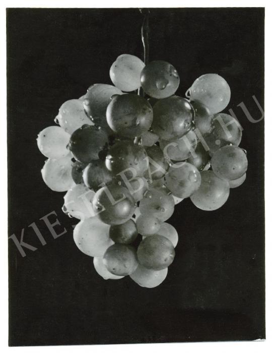 Szendrő, István - Grapes, 1930's | Auction of Photos auction / 42 Lot