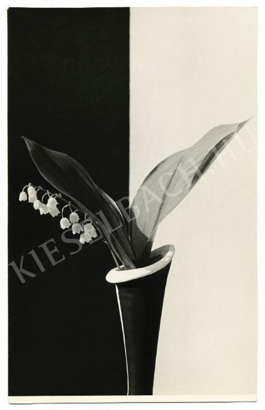 Kaczúr Pál - Ellentétek, 1958 | Fotóaukció 2008 aukció / 46 tétel