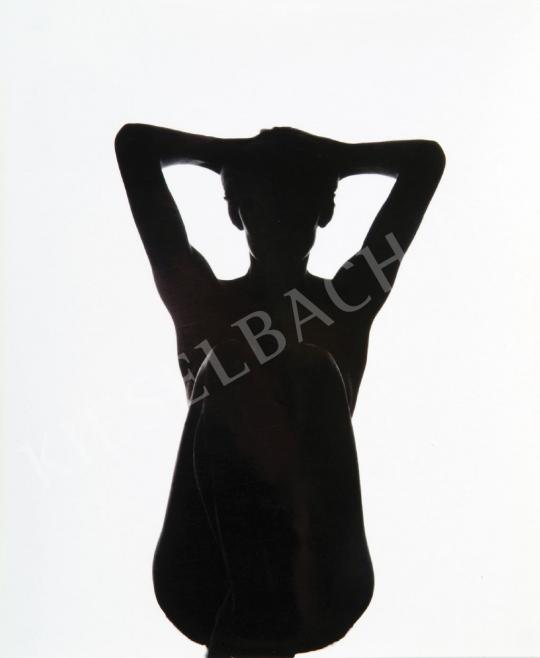 Gábor, Sándorné - Nude silhouette, 1970's | Auction of Photos auction / 48 Lot