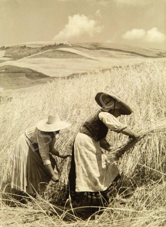 Tokaji, András - Harvest, 1937 | Auction of Photos auction / 81 Lot