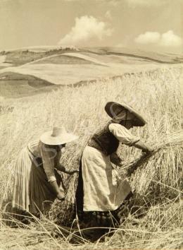 Tokaji, András - Harvest, 1937 