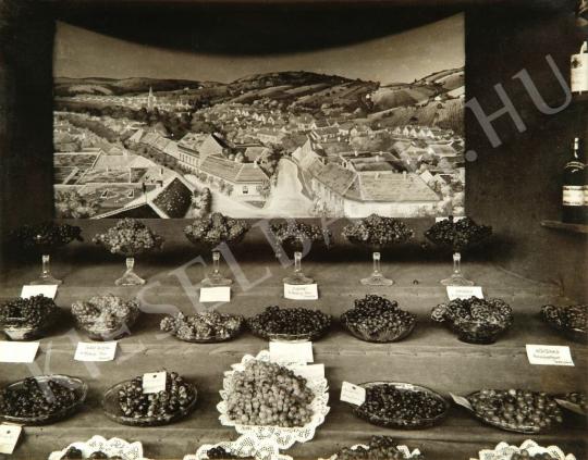  Balogh Rudolf - Mezőgazdasági kiállítás, 1929 | Fotóaukció 2008 aukció / 83 tétel