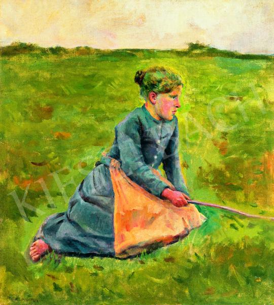  Perlmutter, Izsák - Girl in the Meadow, 1895 | 38th Auction auction / 236 Lot