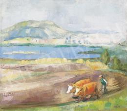 Iván Szilárd - Szántás 