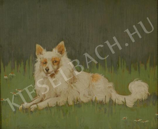 Rainerné-Istvánffy, Gabriella - Puppy painting