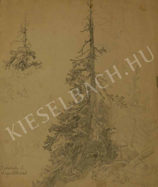 Brodszky, Sándor - Big Tree painting