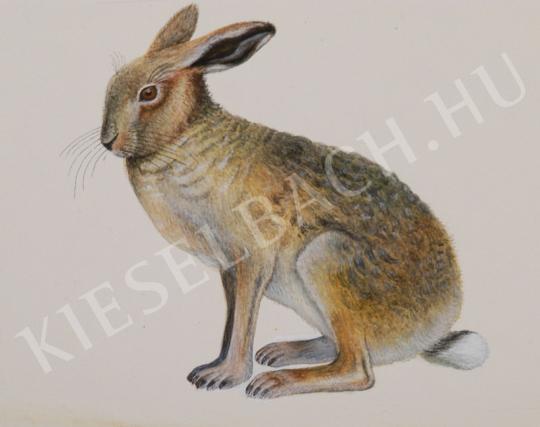 ifj. Tóth László, jr. - Bunny painting