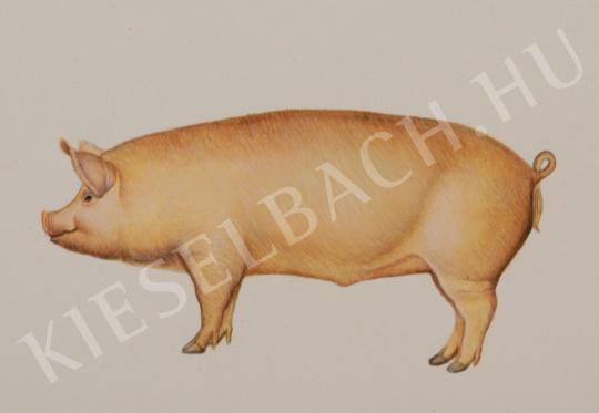ifj. Tóth László, jr. - Pig painting