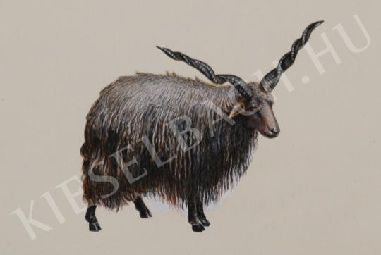 ifj. Tóth László, jr. - Sheep painting