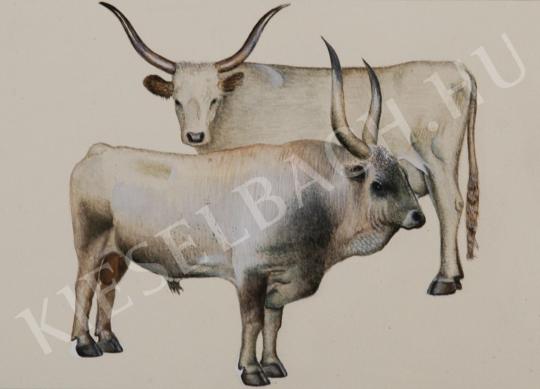 ifj. Tóth László, jr. - Cattle painting