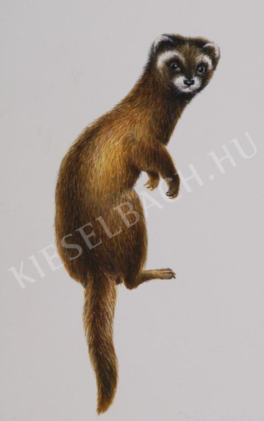 ifj. Tóth László, jr. - Creep painting