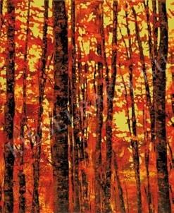 Cseke Szilárd - Izzó erdő festménye