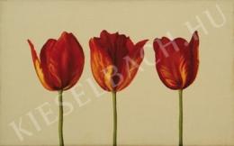 Hajdú Kinga - Három tulipán (2007)