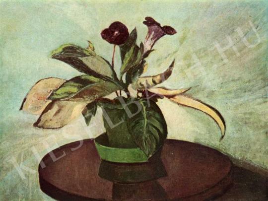 Orbán Dezső - Gloxinia, 1915 festménye