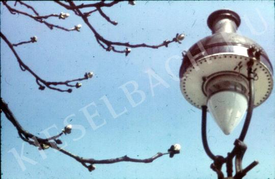 Lajos Hollán - Street Lamps with Buds painting