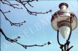 Lajos Hollán - Street Lamps with Buds (1940 körül)