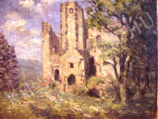  Haller, György - Castle of Vinna painting