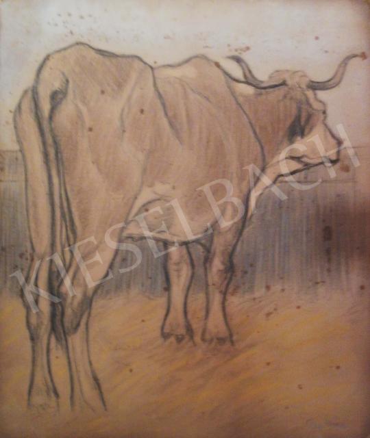 For sale Pap, Géza - Cow 's painting