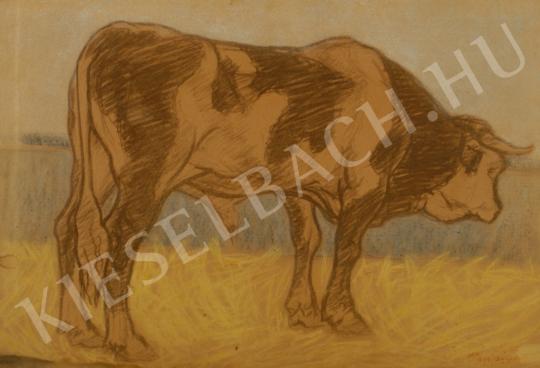 For sale Pap, Géza - Bull, c. 1910 's painting