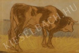 Pap, Géza - Bull, c. 1910 