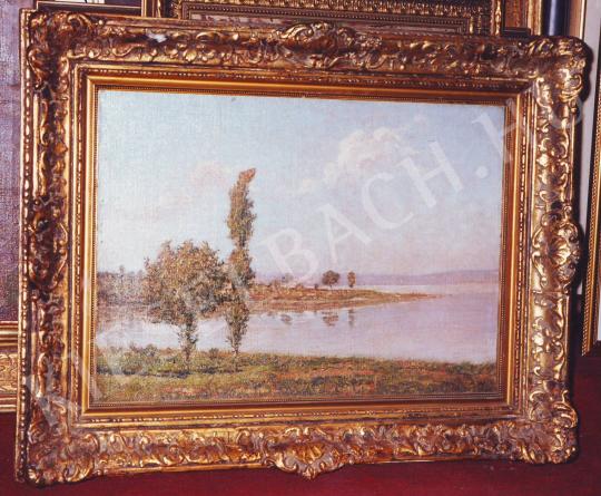 Basch, Árpád - Lake Balaton painting