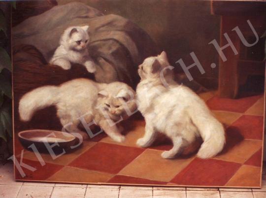 Heyer Artur - Fehér cicák festménye